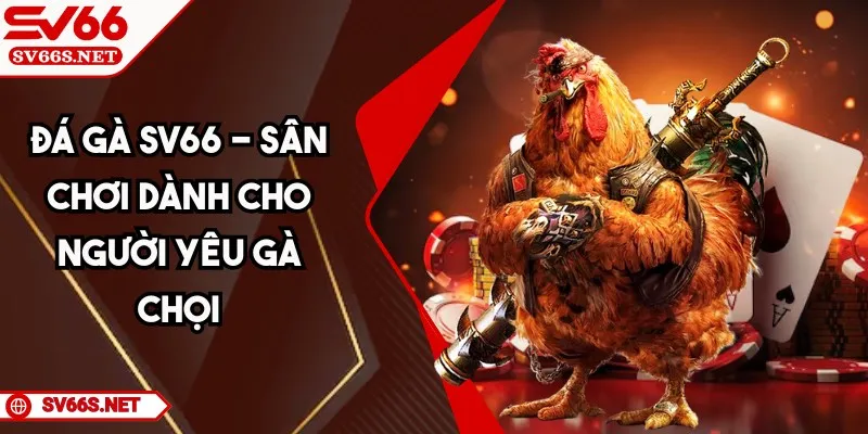 Đá Gà SV66