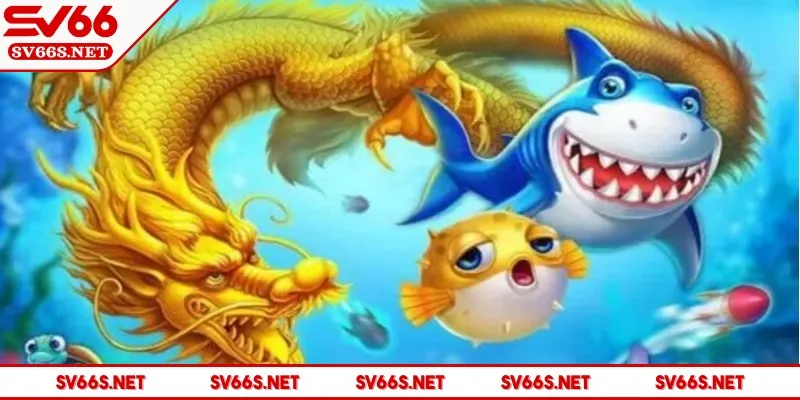 sv66-ban-ca-rong-cach-tham-gia