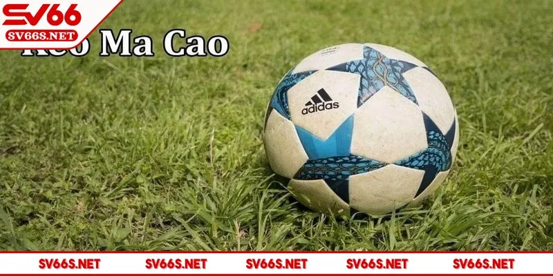 sv66-keo-ma-cao-keo-hong-kong