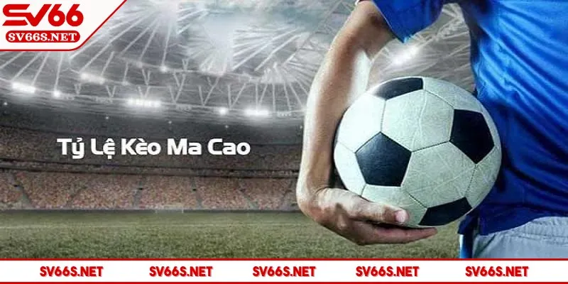 sv66-keo-ma-cao-phat-huy-hieu-qua